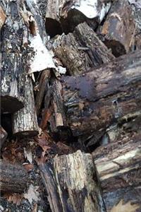 Journal Fallen Woodpile Split Logs