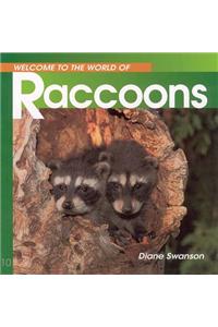 Welcome to the World of Raccoons