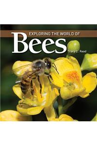 Exploring the World of Bees