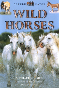 Wild Horses