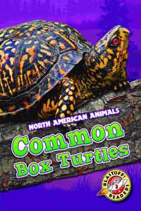 Common Box Turtles