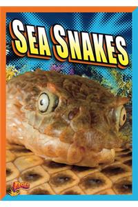 Sea Snakes