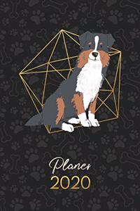 Planer 2020