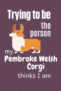 Trying to be the person my Pembroke Welsh Corgi Dog thinks I am