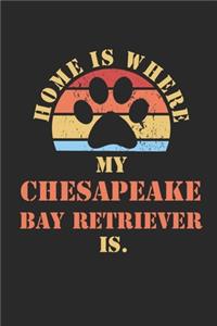 Chesapeake Bay Retriever