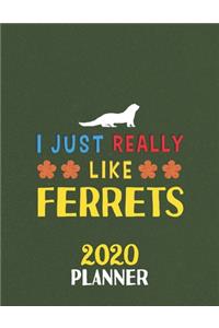 I Just Really Like Ferrets 2020 Planner