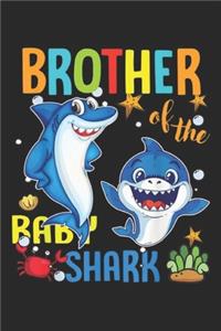 Brother of The Baby Shark