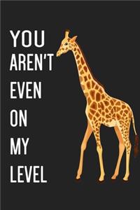 You Aren't Even On My Level
