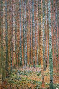 Fir Forest Journal
