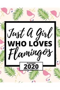 Just A Girl Who Loves Flamingos