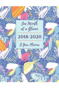 One Month at a Glance 2018-2020 3 Year Planner