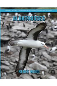 Albatrosses