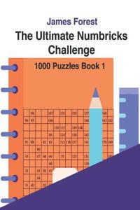 The Ultimate Numbricks Challenge - 1000 Puzzles