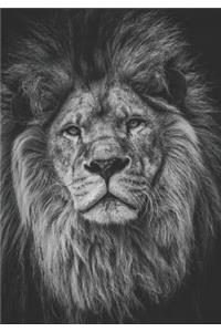 2019 Appointment Calendar: 2019 Daily Planner Goal Planner Lion