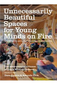 Unnecessarily Beautiful Spaces for Young Minds on Fire