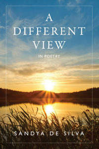 Different View in Poetry