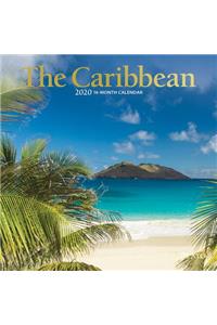 Caribbean, the 2020 Mini 7x7 Plato Foil