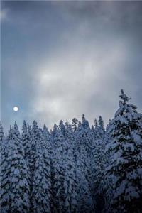 Moon Over Snow Covered Pine Trees