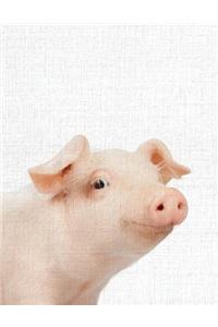 Cute Animal Composition Book Pig