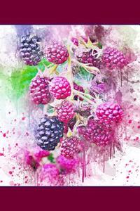 Black Raspberries - Blank Notebook