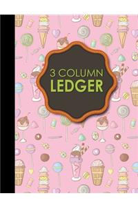 3 Column Ledger