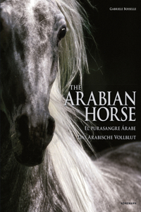 The Arabian Horse