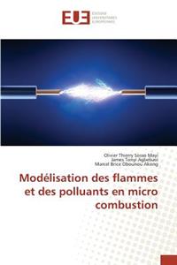 Modélisation Des Flammes Et Des Polluants En Micro Combustion