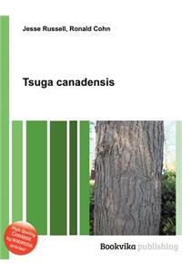 Tsuga Canadensis