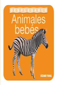 Libro Desplegable. Animales Bebés