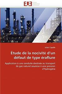 Étude de la nocivité d un défaut de type éraflure