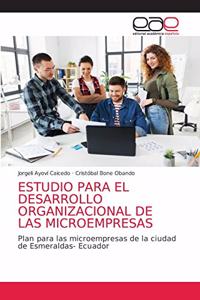 Estudio Para El Desarrollo Organizacional de Las Microempresas