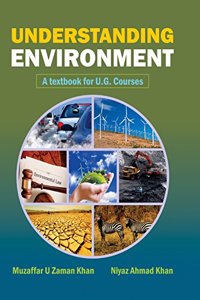 Understanding Environment