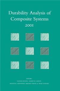 Durability Analysis of Composite Systems 2001