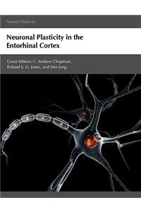 Neuronal Plasticity in the Entorhinal Cortex