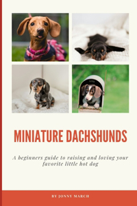 Miniature Dachshunds