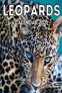 Leopards Calendar 2021