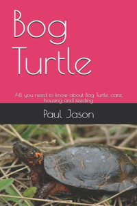 Bog Turtle