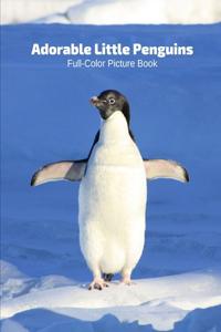 Adorable Little Penguins Full-Color Picture Book