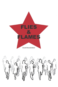 Flies and Flames