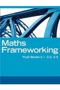 Maths Frameworking - Interactive Book, Homework and Assessment 2