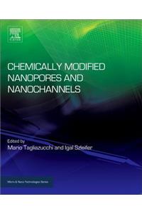 Chemically Modified Nanopores and Nanochannels