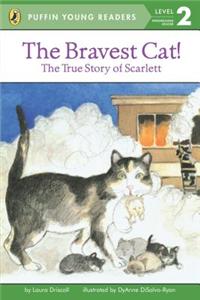 PYR LV 2 : The Bravest Cat!