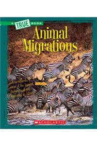 Animal Migrations