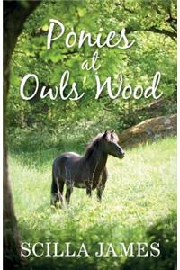 Ponies at Owls' Wood