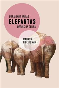 Para onde vão as elefantas depois da chuva