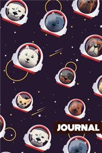 Journal