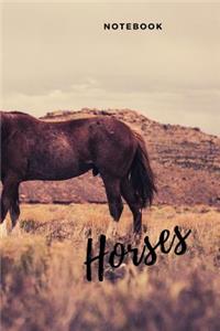 Horses notebook