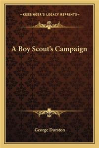 A Boy Scout's Campaign