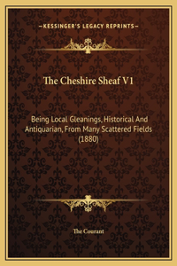 The Cheshire Sheaf V1