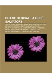 Chiese Dedicate a Gesu Salvatore